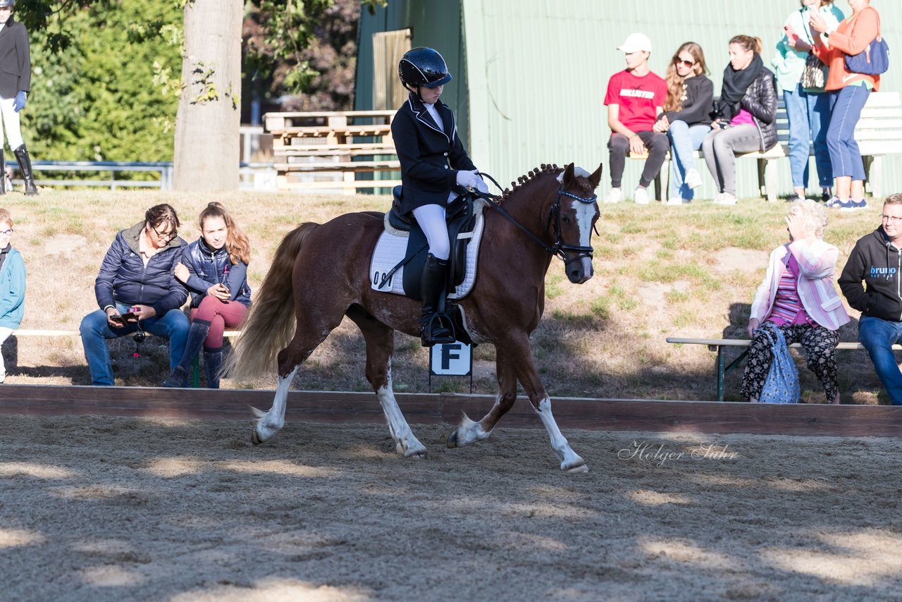 Bild 90 - Pony Akademie Turnier